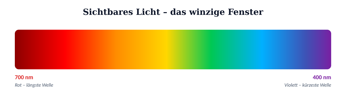 Das sichtbare Lichtspektrum von Rot bis Violett